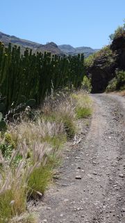 2022-04-GranCan-Agaete-Trekking_view-PM-NN-068.JPG